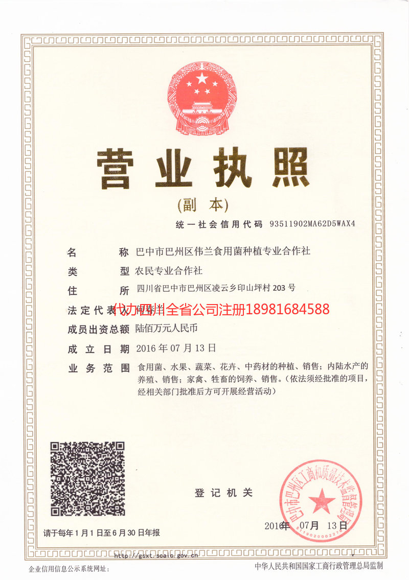 讷河讷河伟兰食用菌种植专业合作社